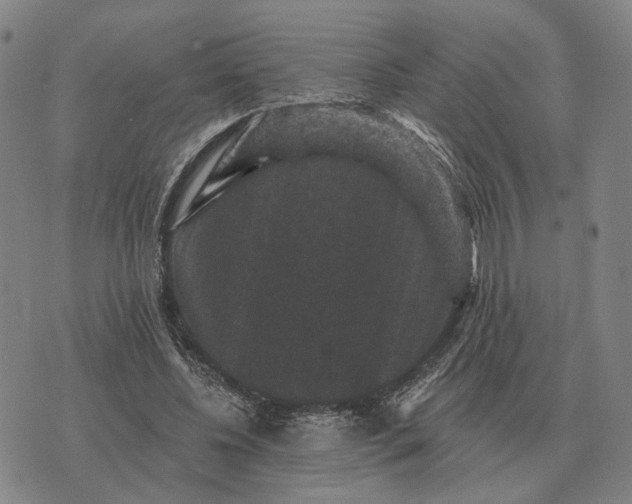 X0000070400540200606231805