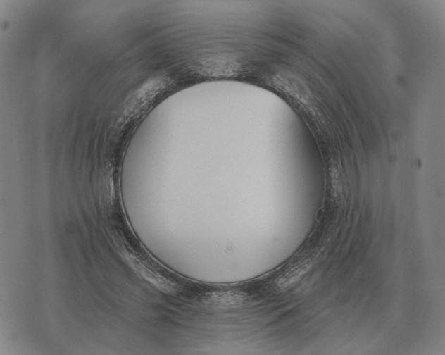 X0000070400541200606231805