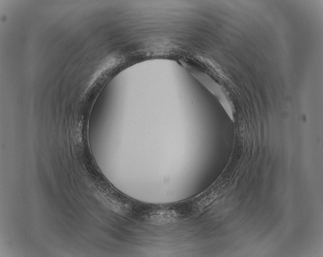 X0000070400543200606231805