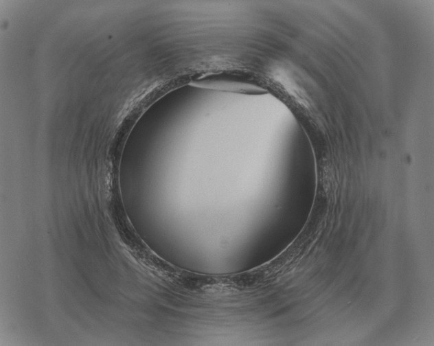 X0000070400544200606231805