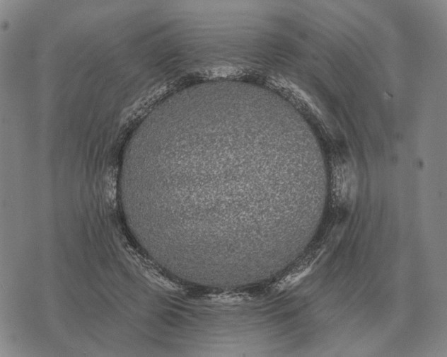 X0000070400545200606231805