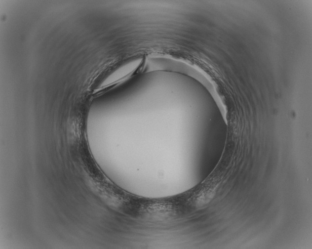 X0000070400546200606231805