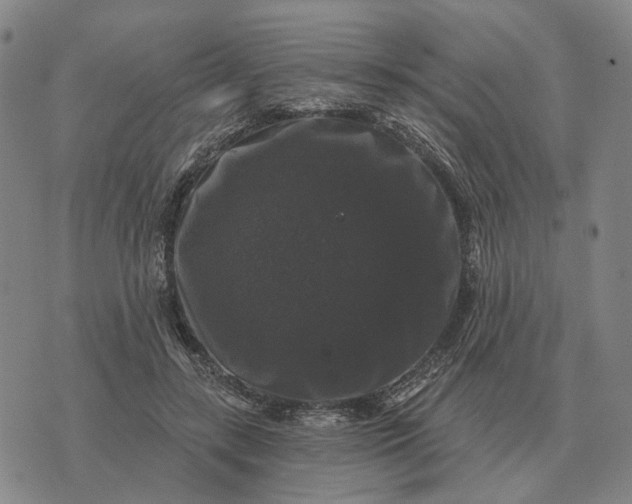 X0000070400547200606231805