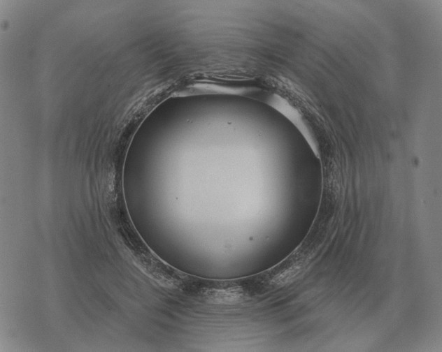 X0000070400548200606231805