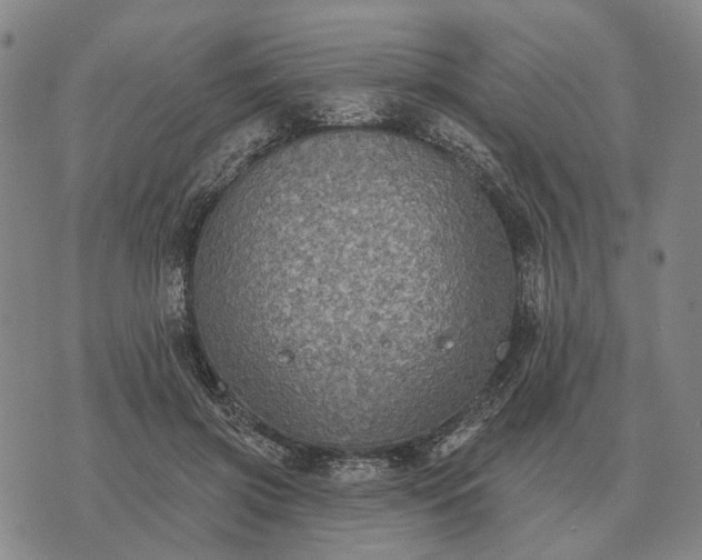 X0000070400549200606231805