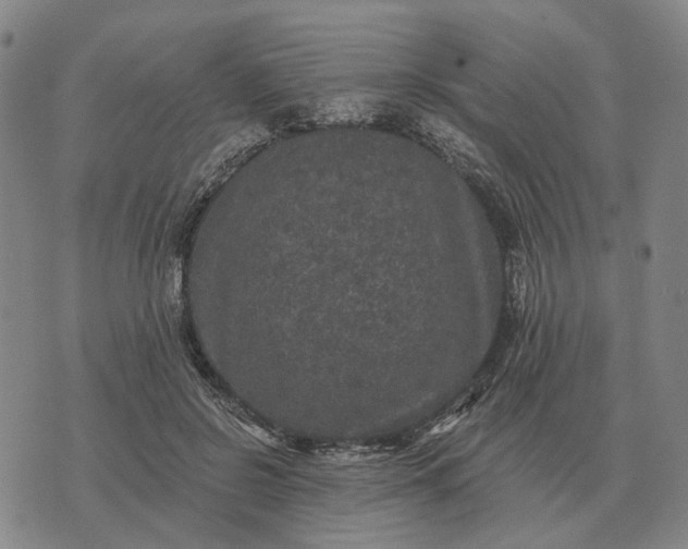 X0000070400550200606231805