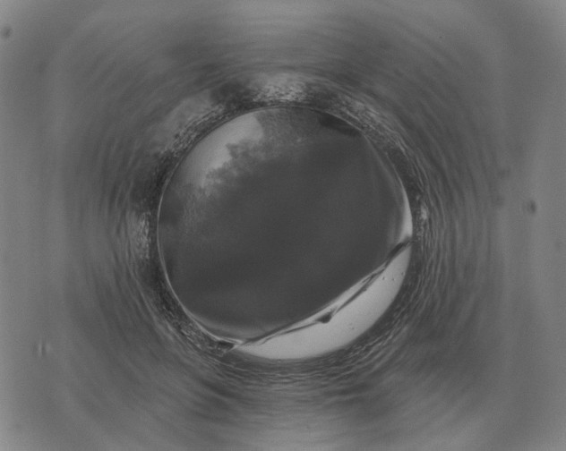 X0000070400551200606231805