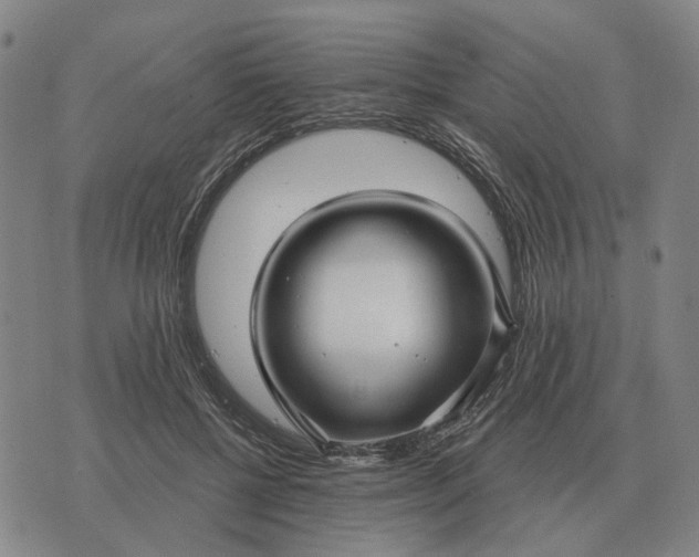 X0000070400552200606231805