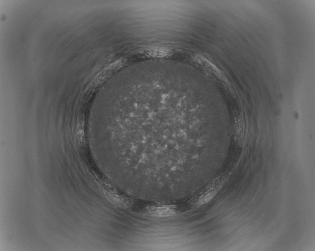 X0000070400553200606231805