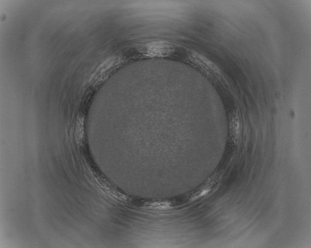 X0000070400554200606231805