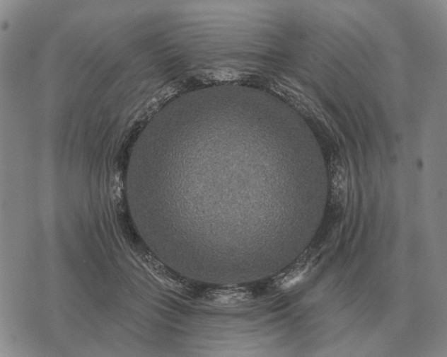 X0000070400555200606231805