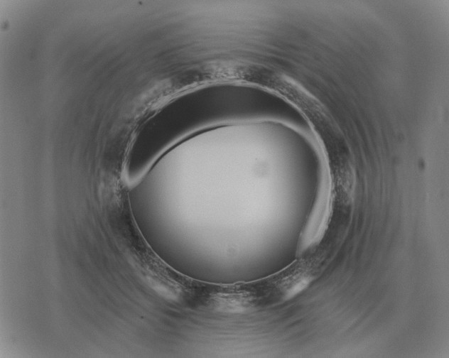 X0000070400556200606231805