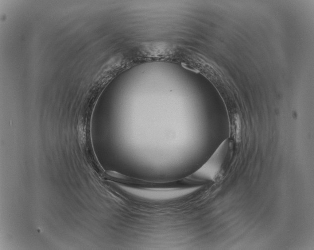 X0000070400558200606231805