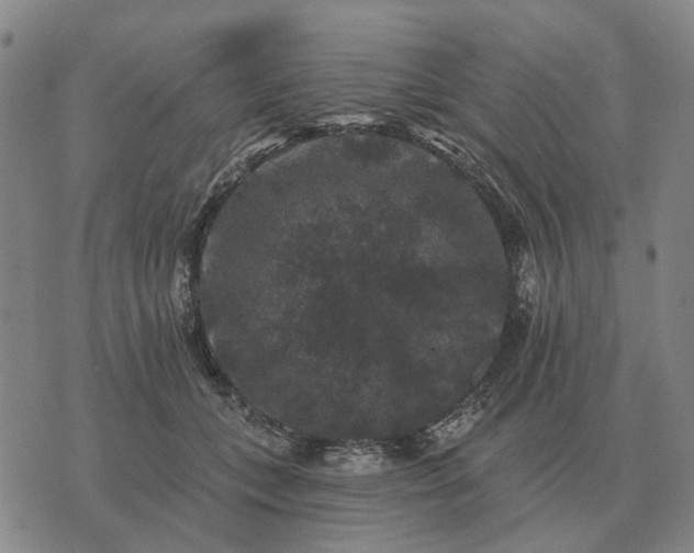 X0000070400559200606231805