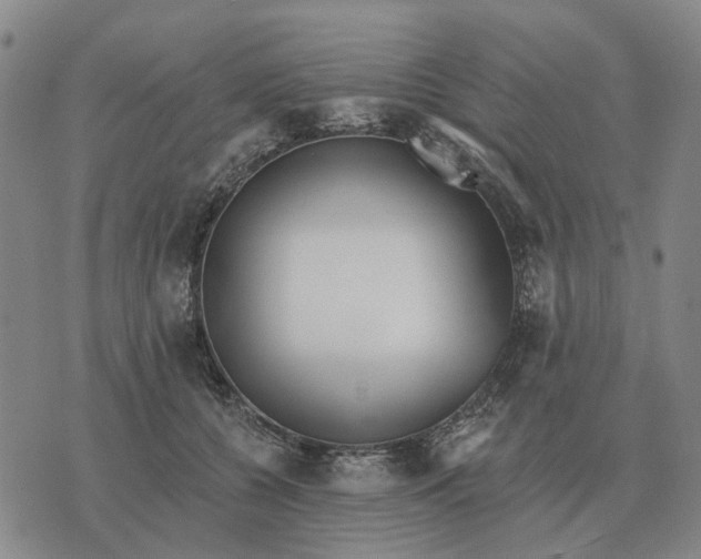 X0000070400560200606231805