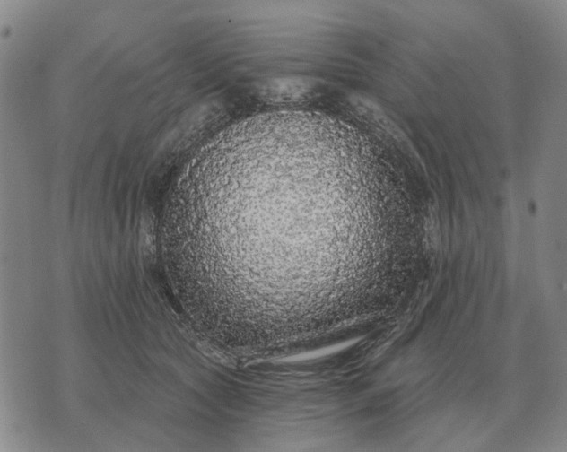 X0000070400561200606231805