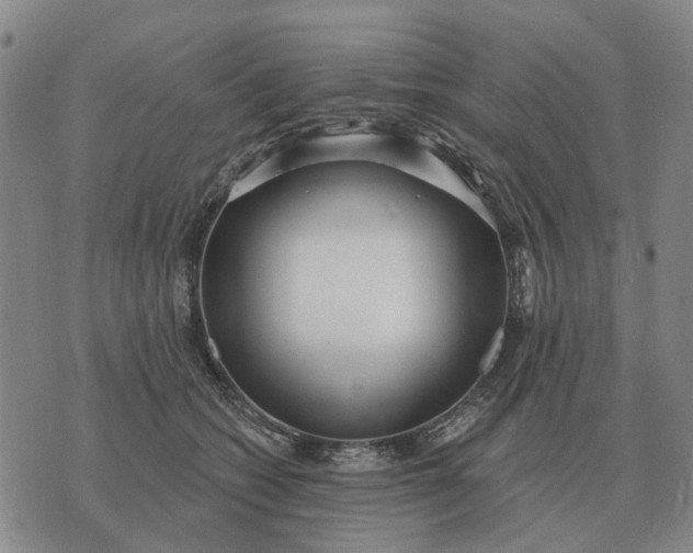 X0000070400562200606231805