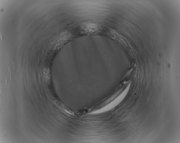 X0000070400563200606231805