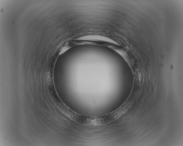 X0000070400564200606231805