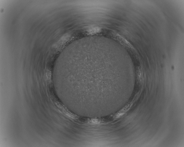 X0000070400565200606231805