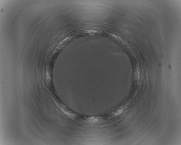 X0000070400566200606231805