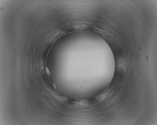 X0000070400567200606231805