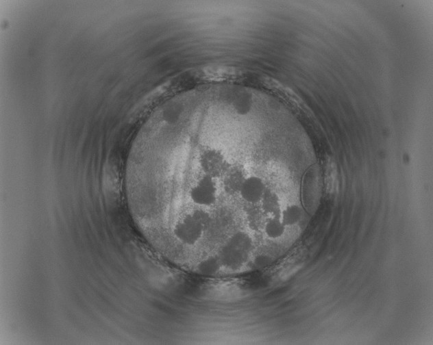 X0000070400569200606231805