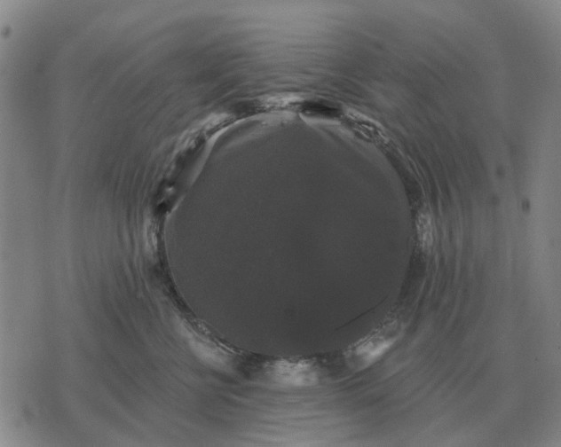 X0000070400570200606231805