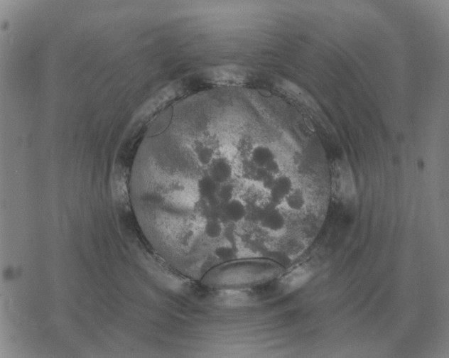 X0000070400573200606231805