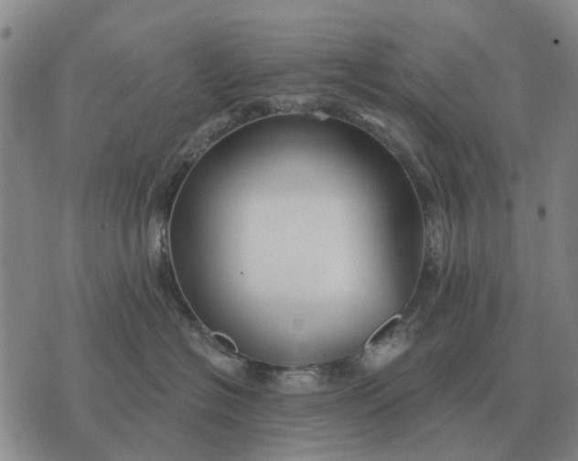 X0000070400574200606231805