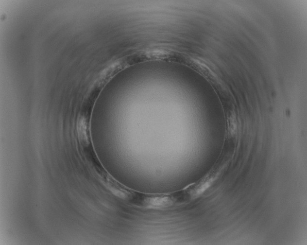 X0000070400575200606231805