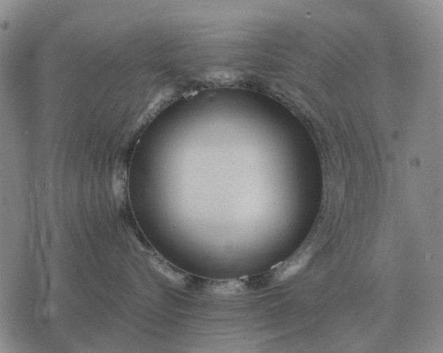 X0000070400576200606231805