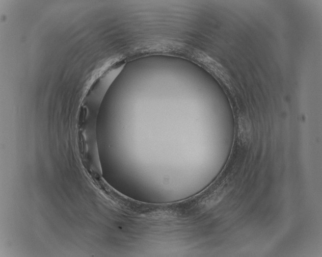 X0000070400578200606231805