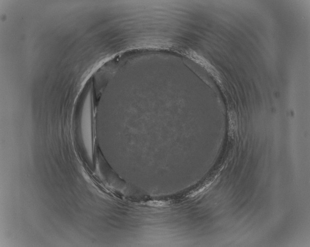 X0000070400580200606231805