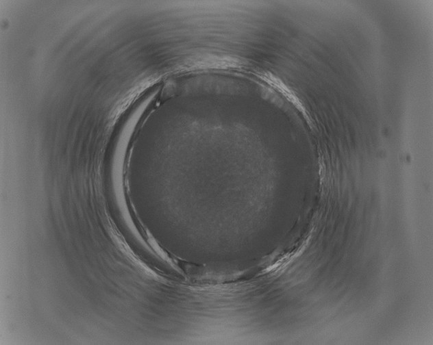 X0000070400581200606231805