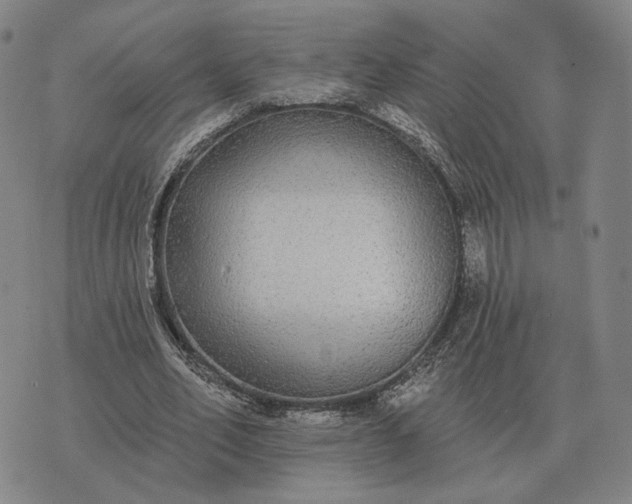 X0000070400582200606231805