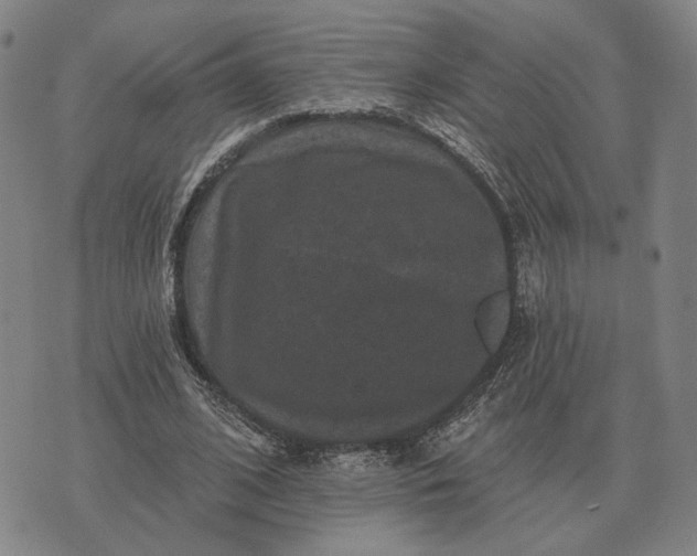 X0000070400584200606231805