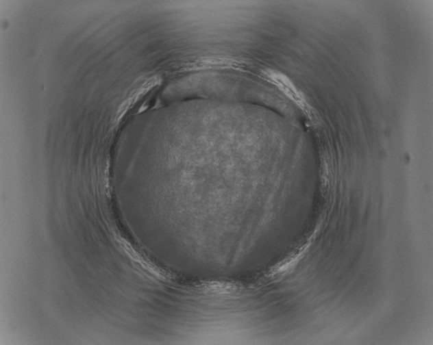 X0000070400585200606231804