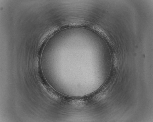 X0000070400586200606231804