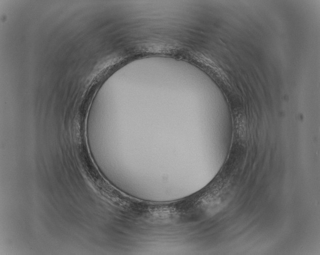 X0000070400587200606231804