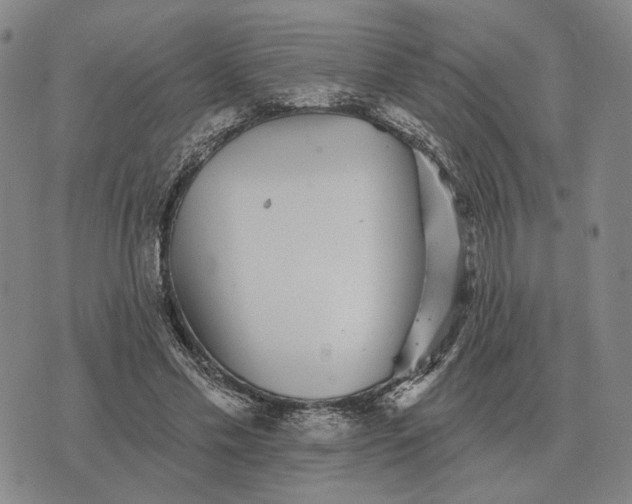 X0000070400589200606231804