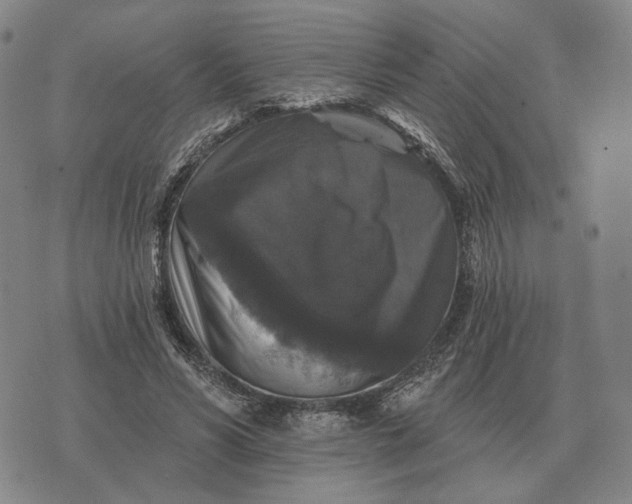 X0000070400590200606231804