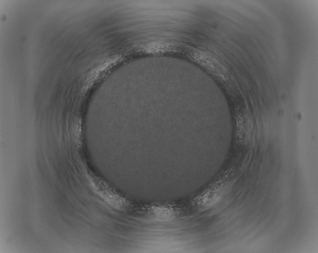 X0000070400592200606231804