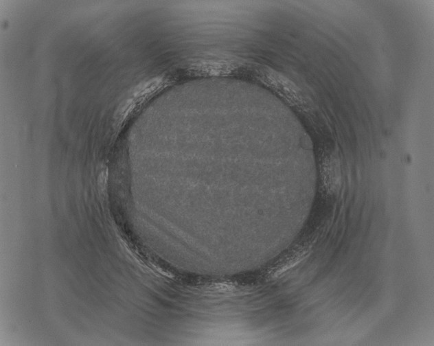 X0000070400594200606231804