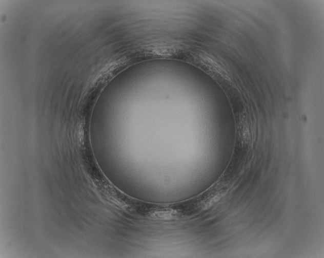 X0000070400595200606231804