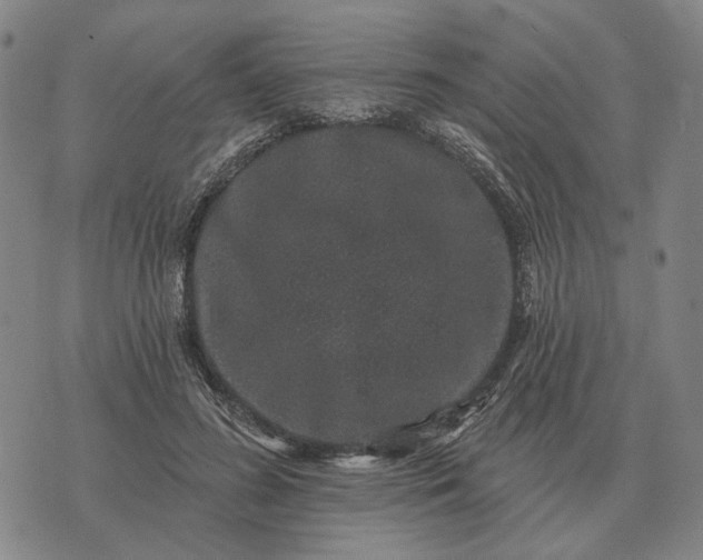 X0000070400596200606231804