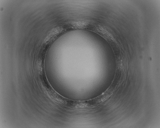 X0000070400599200606231804