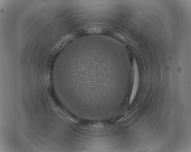 X0000070400600200606231804