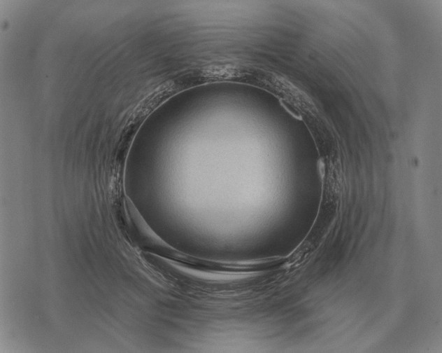 X0000070400601200606231804