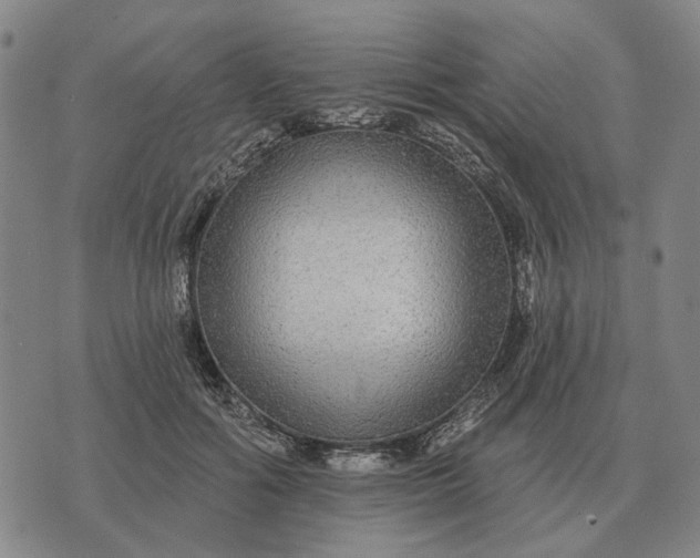 X0000070400602200606231804